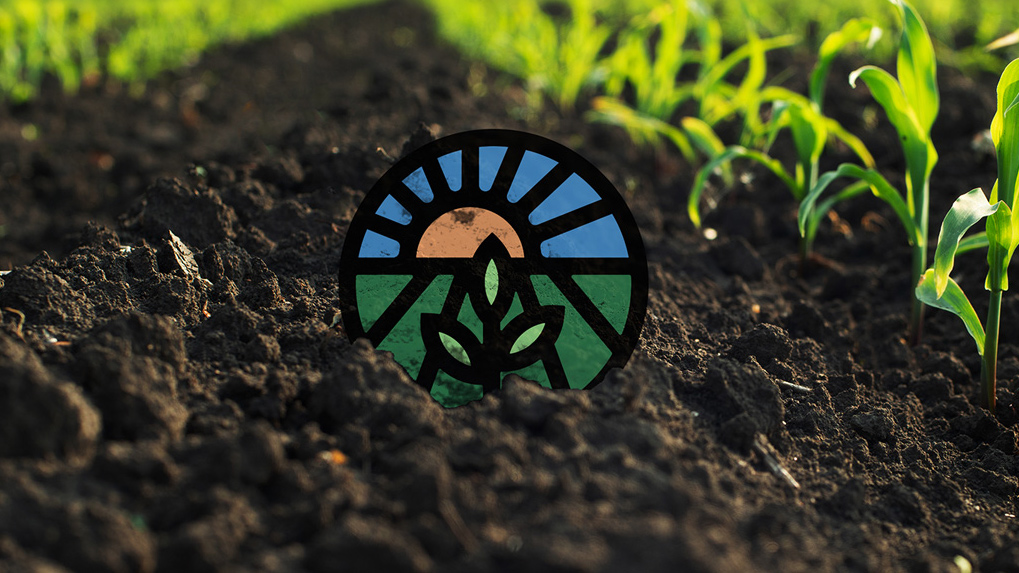 Opinion: Organic provides a vital pathway for farmers and consumers interested in MAHA thumbnail